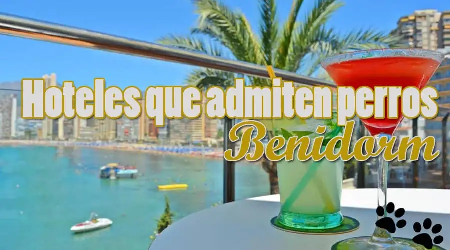 Hoteles que admiten perros Benidorm