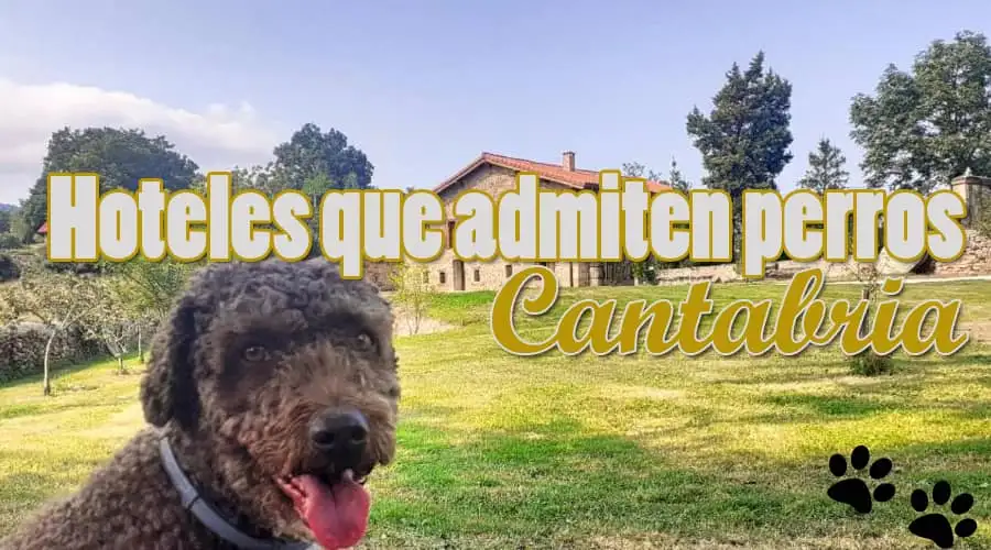Hoteles que admiten perros Cantabria