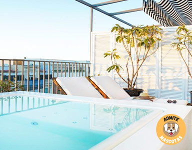 Hoteles con bañera de hidromasaje en la habitación Madrid