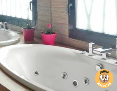 Hoteles con jacuzzi en la habitación Madrid
