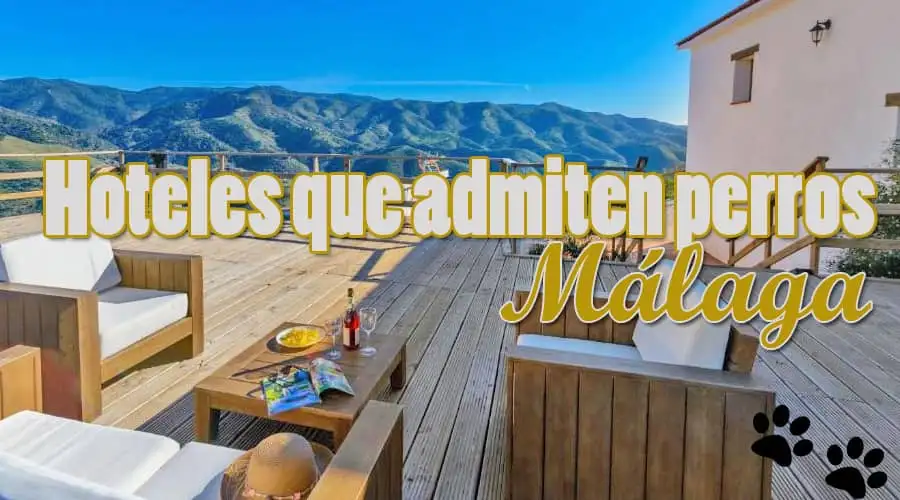 Hoteles que admiten perros Málaga