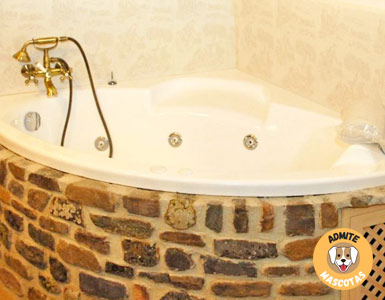 Hoteles con bañera de hidromasaje en la habitación Zaragoza