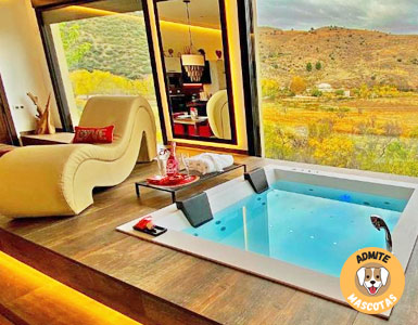 Hoteles con bañera de hidromasaje en la habitación Zaragoza
