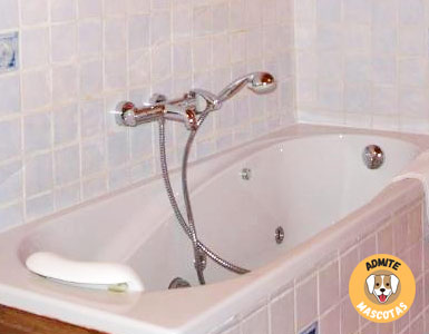 Hoteles con bañera de hidromasaje en la habitación Zaragoza