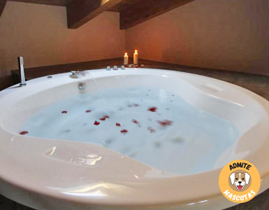 Hoteles con bañera de hidromasaje en la habitación Zaragoza