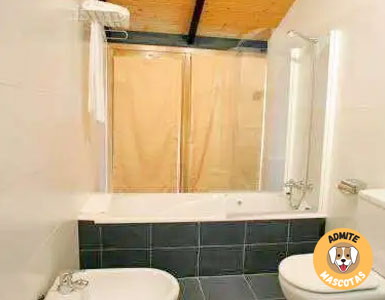 Hoteles con bañera de hidromasaje en la habitación Zaragoza