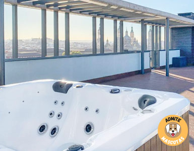 Hoteles con jacuzzi en la habitación Zaragoza