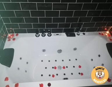 Hoteles con jacuzzi en la habitación Zaragoza